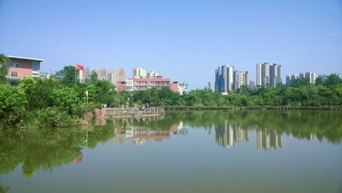 四川師范大學2021年普通高等教育本科招生章程