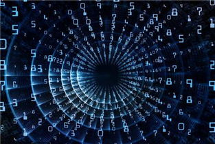 高校專業解讀 計算機信息技術與計算機技術開發